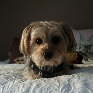 Meet your Posher, Rhonda